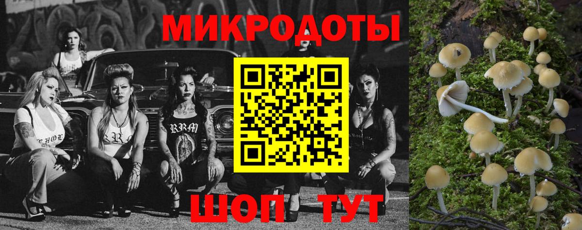 Мурино  Псилоцибиновые грибы Psilocybine cubensis  Вход с VPN 